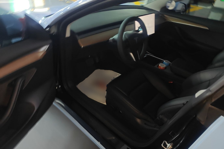 Tesla Model 3 2022 car image #16