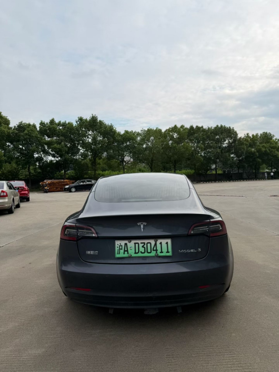 Tesla Model 3 2020 car image #6