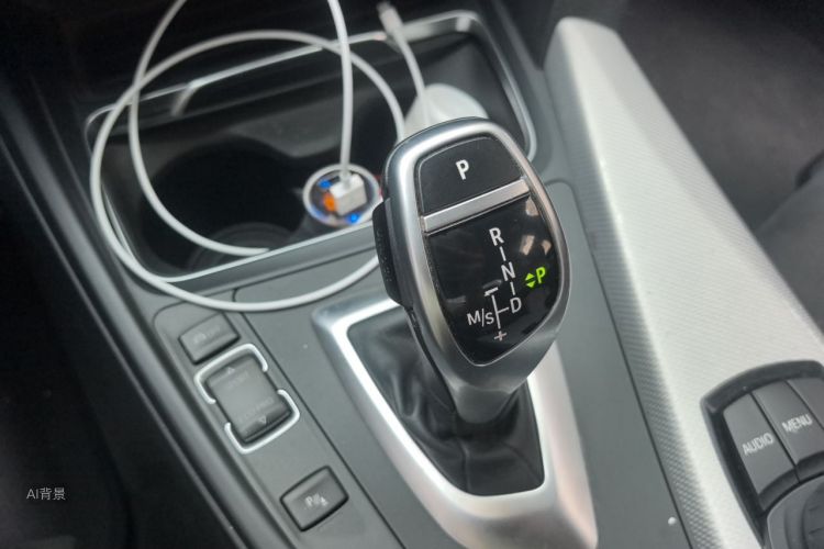 BMW 3 Series 2017 car image #16