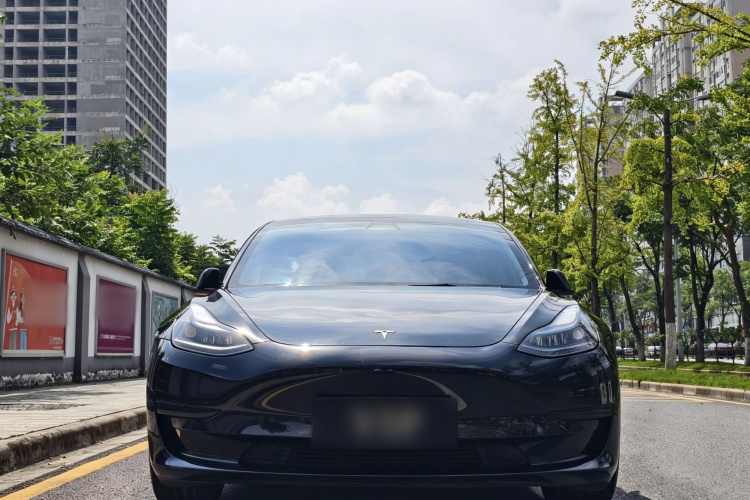 Tesla Model 3 2022 #3 Tesla Model 3 2022 car image #3