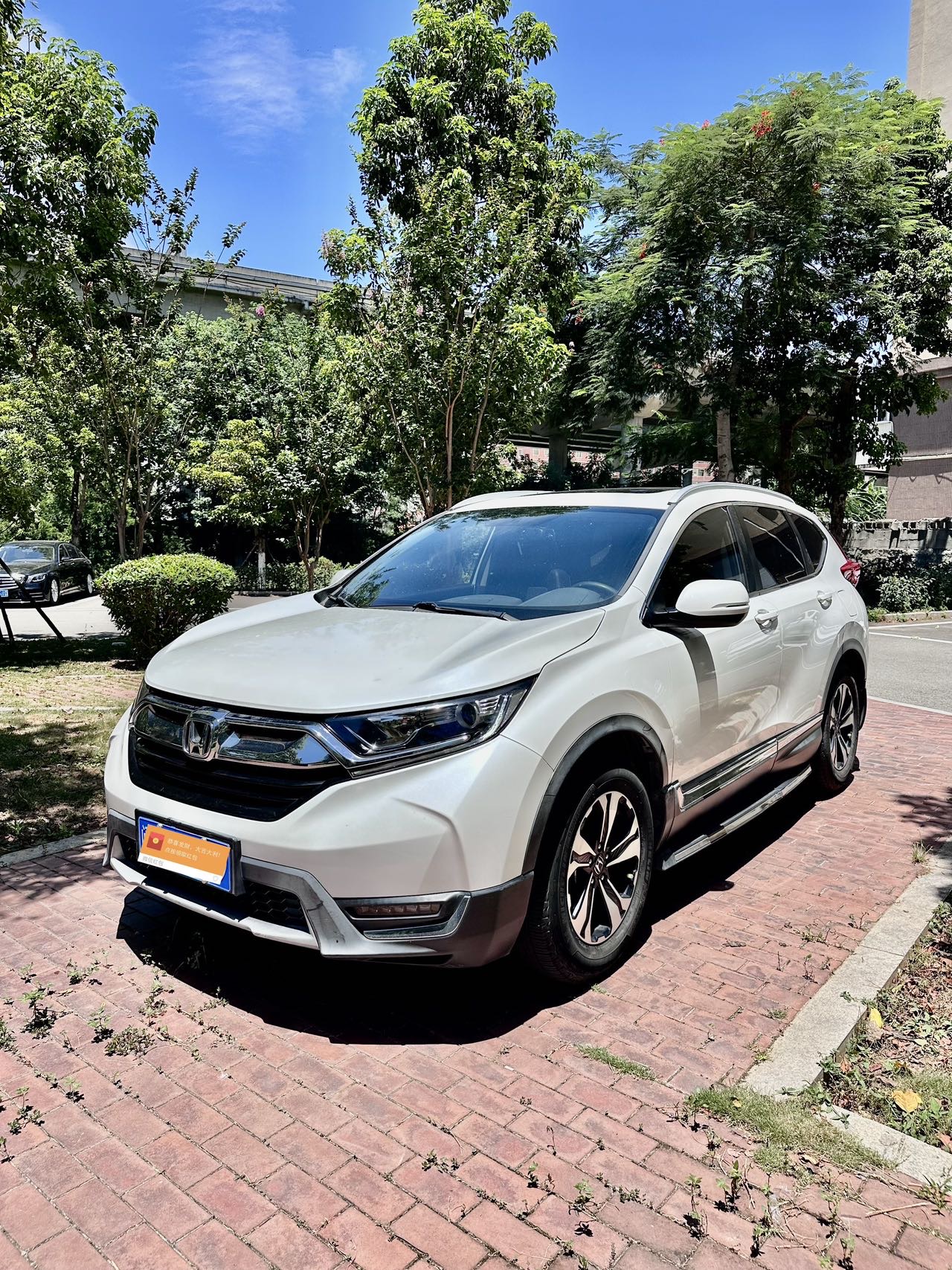 Honda CR-V 2019 Honda CR-V 2019 car image