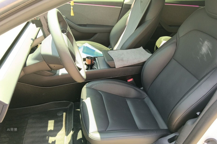 Tesla Model 3 2024 car image #17