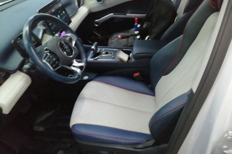 BYD Yuan Plus 2022 car image #15