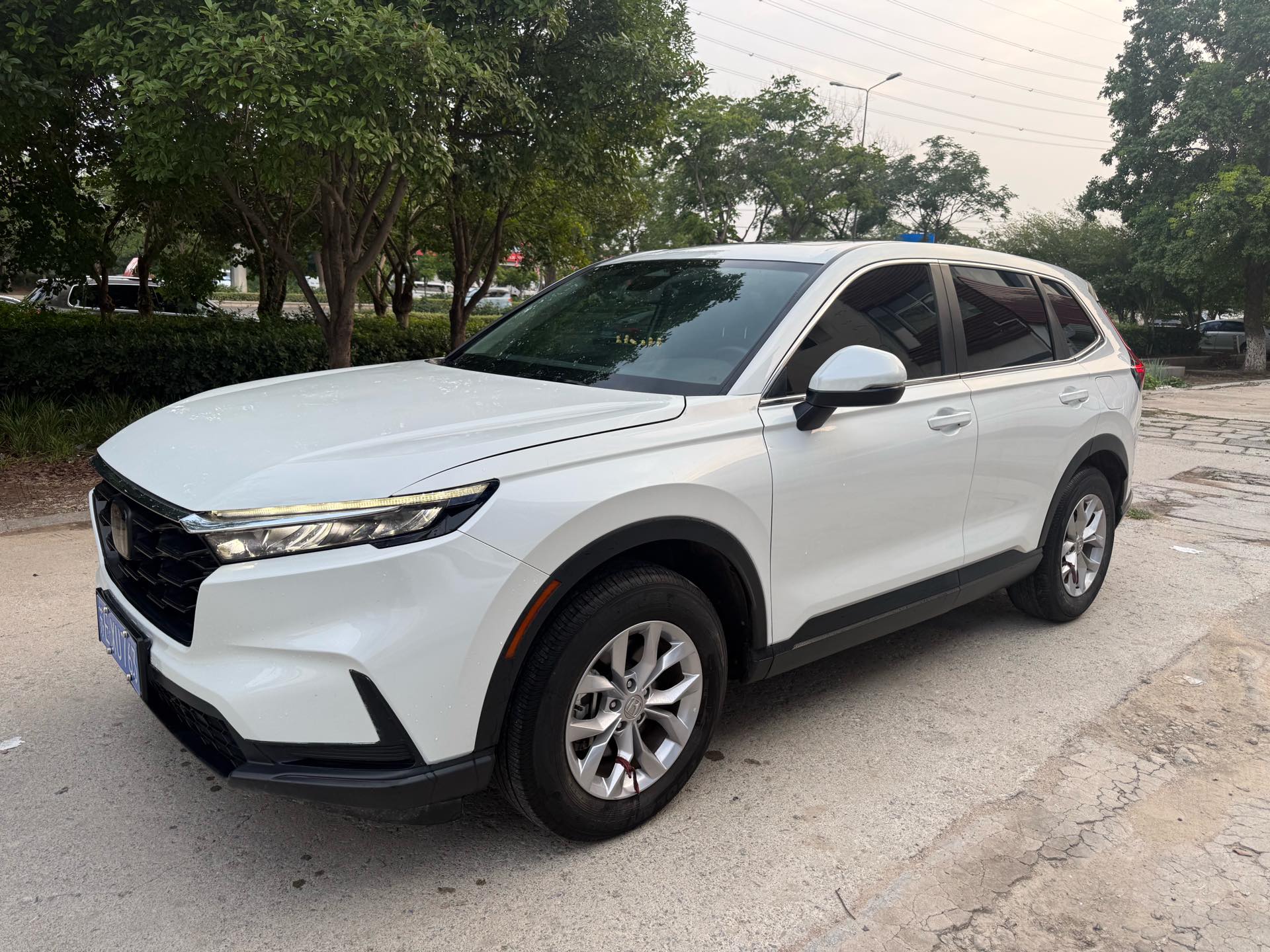 Honda CR-V 2024 car image 