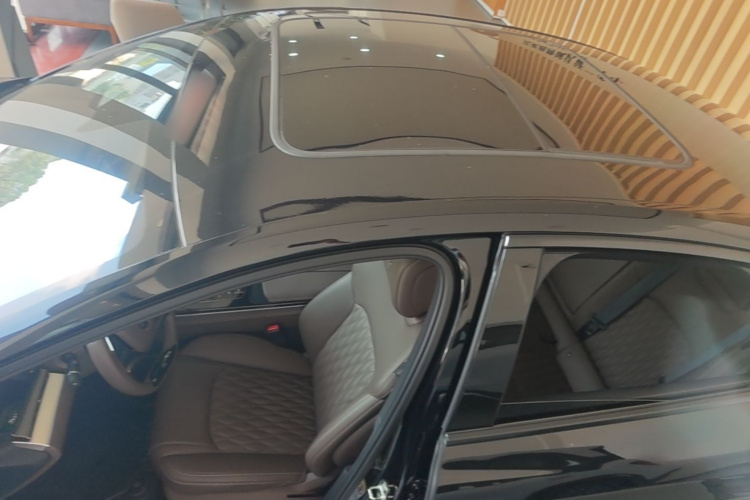 BYD Han 2023 car image #25