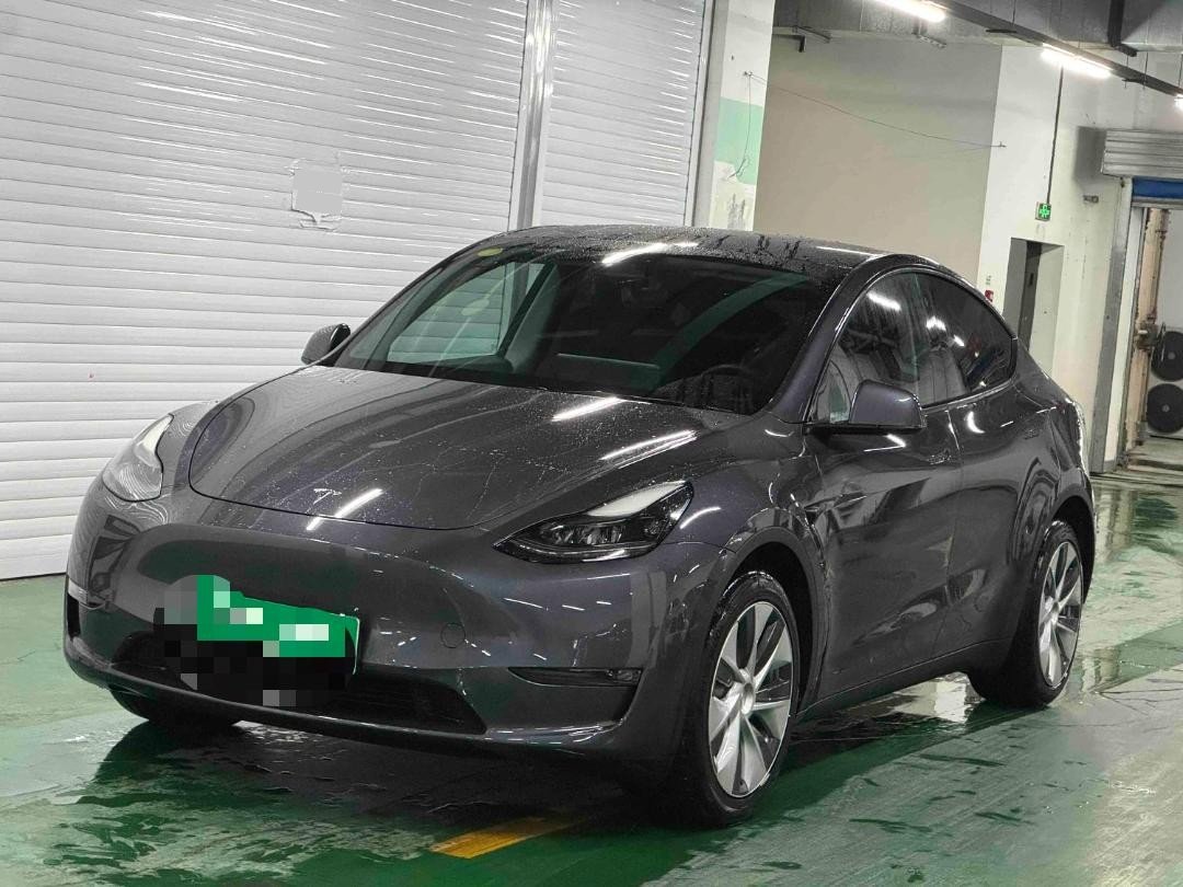 Tesla Model Y 2021 Tesla Model Y 2021 car image