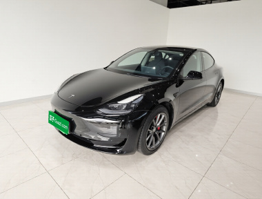 Tesla Model 3 2021 car image 