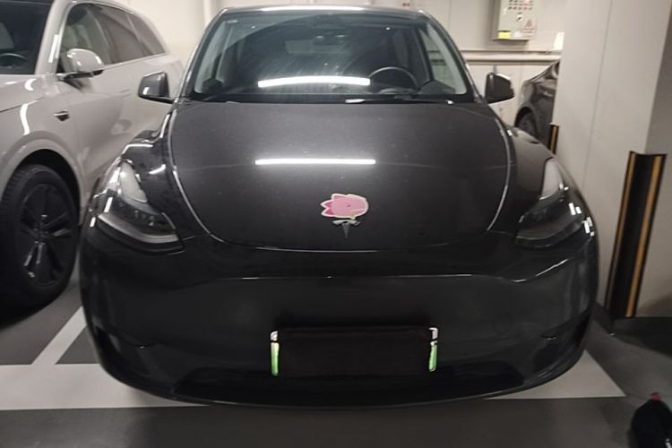 Tesla Model Y 2024 #3 Tesla Model Y 2024 car image #3