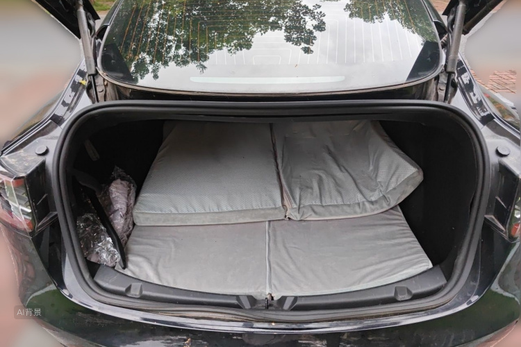 Tesla Model 3 2020 car image #21