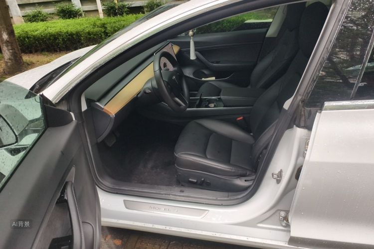 Tesla Model 3 2020 #18 Tesla Model 3 2020 car image #18