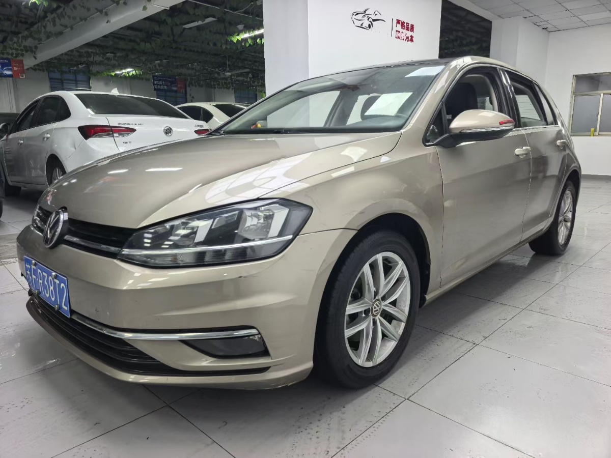 Volkswagen Golf 2019 Volkswagen Golf 2019 car image