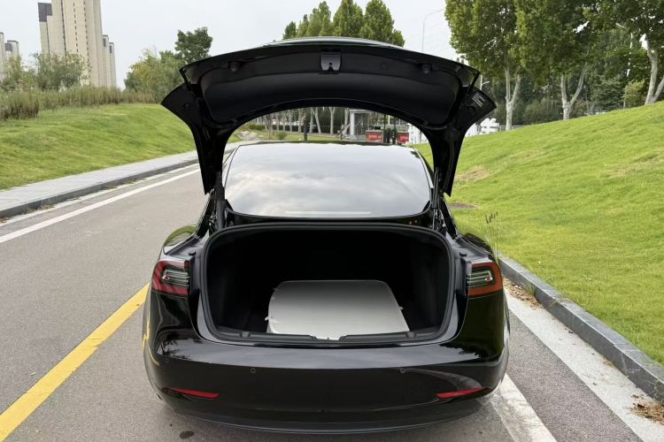 Tesla Model 3 2021 #19 Tesla Model 3 2021 car image #19