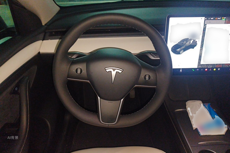 Tesla Model Y 2021 car image #12