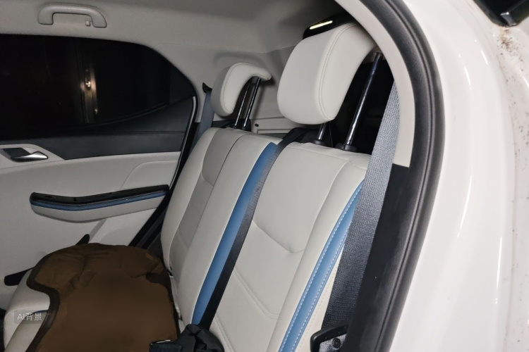 BYD Yuan Pro 2023 car image #19
