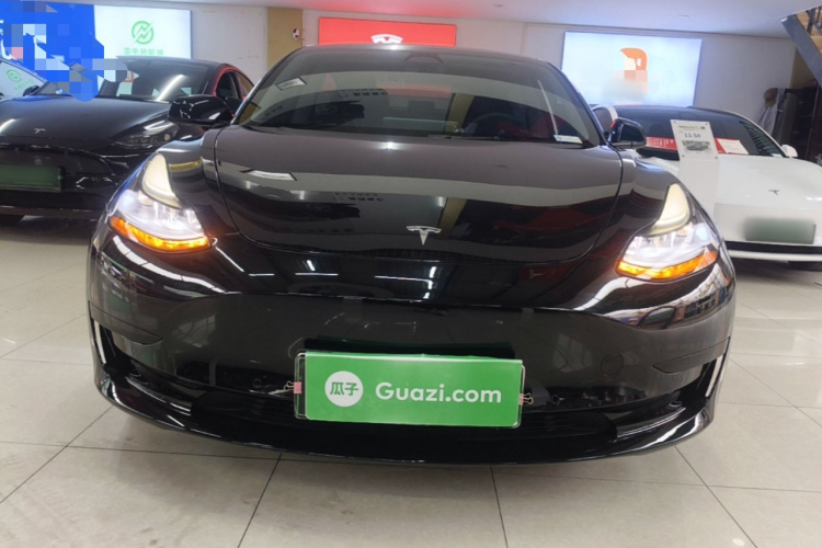 Tesla Model 3 2023 #3 Tesla Model 3 2023 car image #3