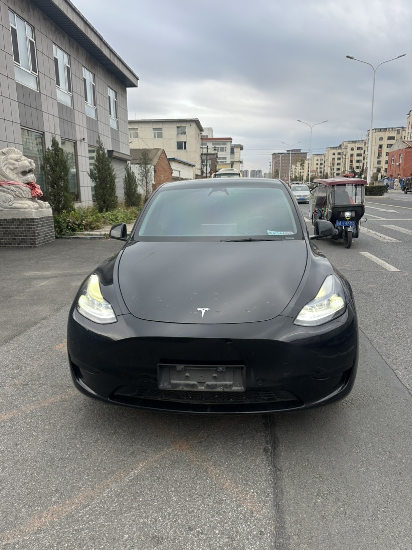 Tesla Model Y 2023 car image #2