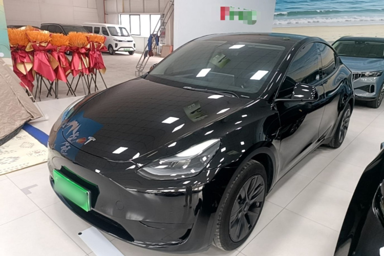 Tesla Model Y 2024 #2 Tesla Model Y 2024 car image #2