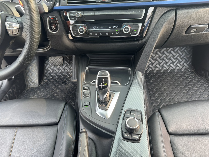 BMW 3 Series 2018 car image #11