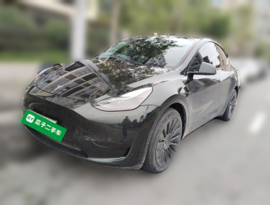 Tesla Model Y 2023 Tesla Model Y 2023 car image