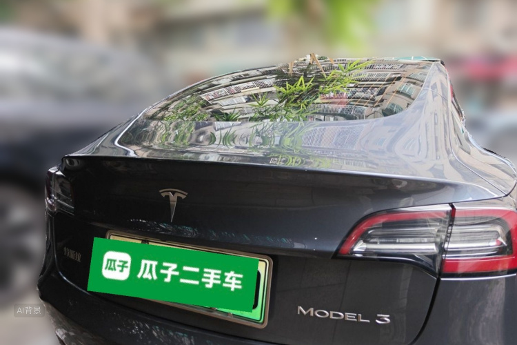Tesla Model 3 2020 car image #6