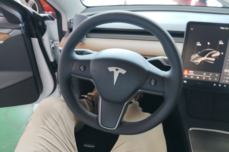 Tesla Model 3 2021 #11 Tesla Model 3 2021 car image #11