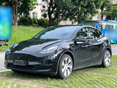 Tesla Model Y 2021 Tesla Model Y 2021 car image