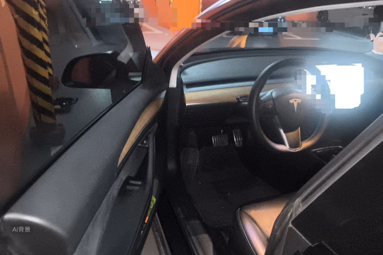 Tesla Model 3 2021 car image #18