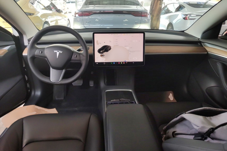 Tesla Model 3 2021 #10 Tesla Model 3 2021 car image #10