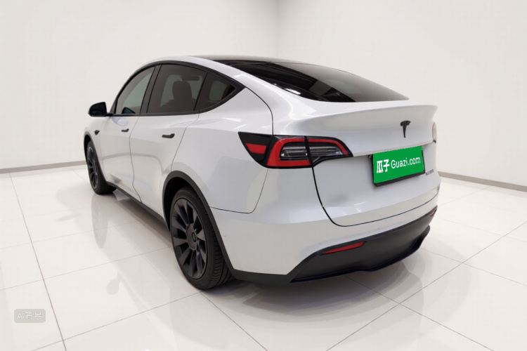 Tesla Model Y 2021 immagine di auto #5