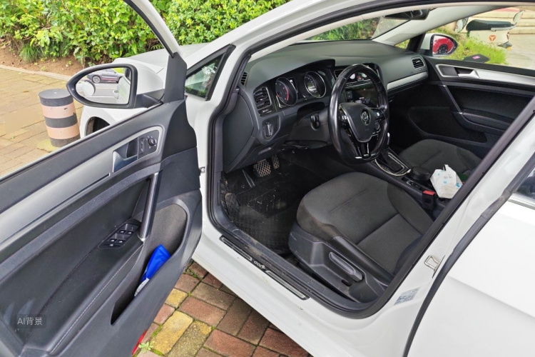 Volkswagen Golf 2019 car image #18