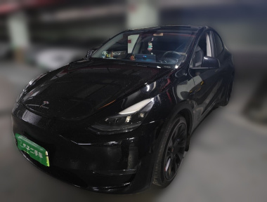 Tesla Model Y 2021 Tesla Model Y 2021 immagine di auto