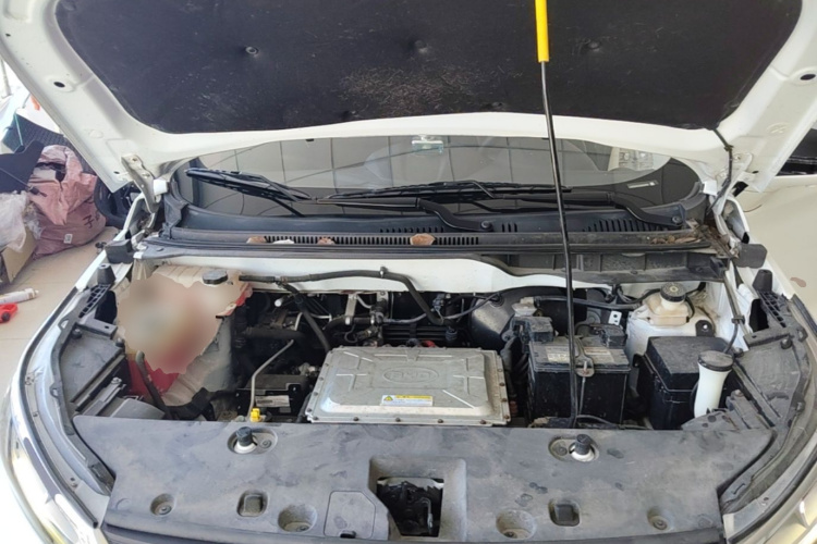 BYD Yuan New Energy 2019 car image #20