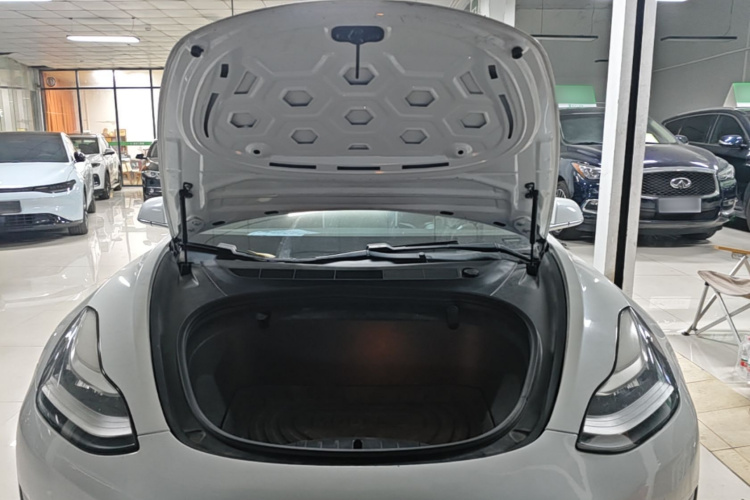 Tesla Model 3 2020 car image #20
