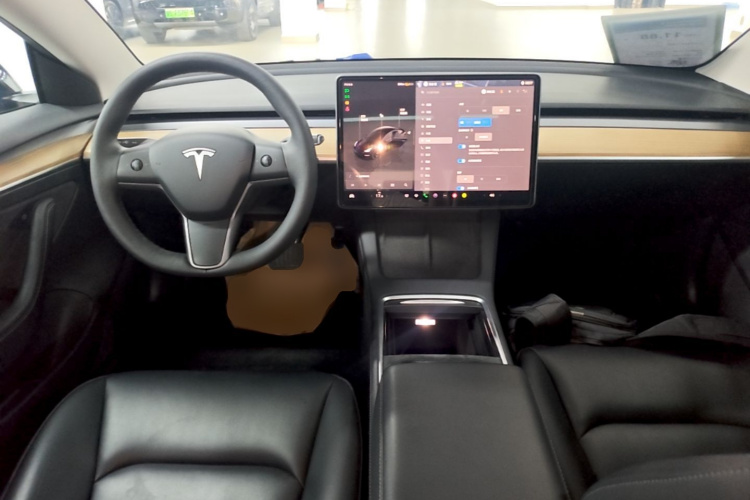 Tesla Model 3 2023 car image #11