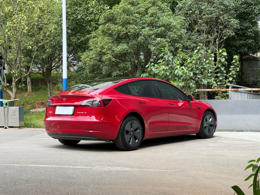 Tesla Model 3 2021 #5 Tesla Model 3 2021 car image #5