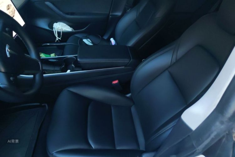 Tesla Model 3 2020 #17 Tesla Model 3 2020 car image #17