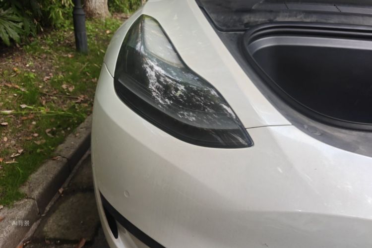Tesla Model Y 2023 #8 Tesla Model Y 2023 car image #8