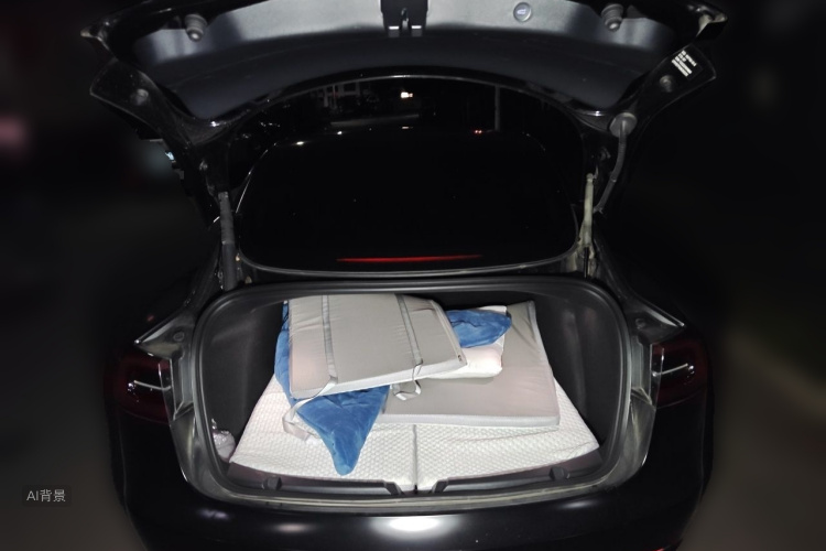Tesla Model 3 2022 #21 Tesla Model 3 2022 image de voiture #21