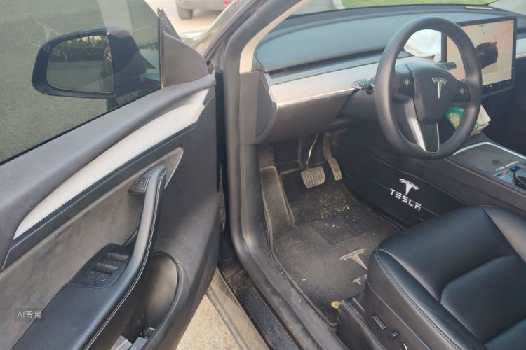 Tesla Model Y 2023 car image #18