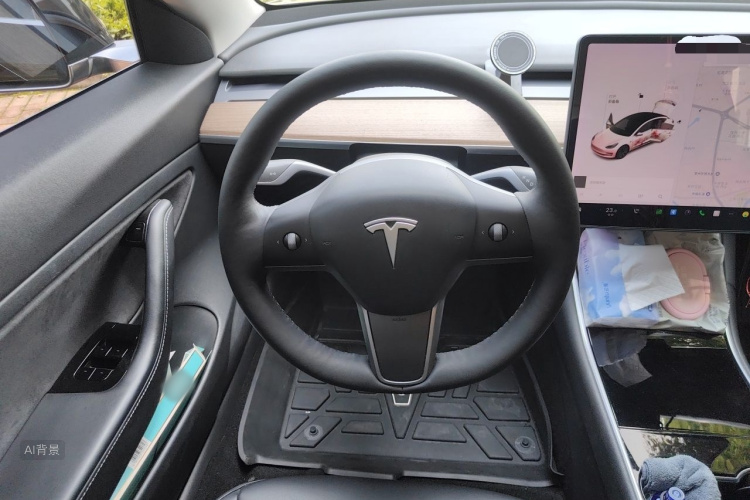 Tesla Model 3 2020 car image #12