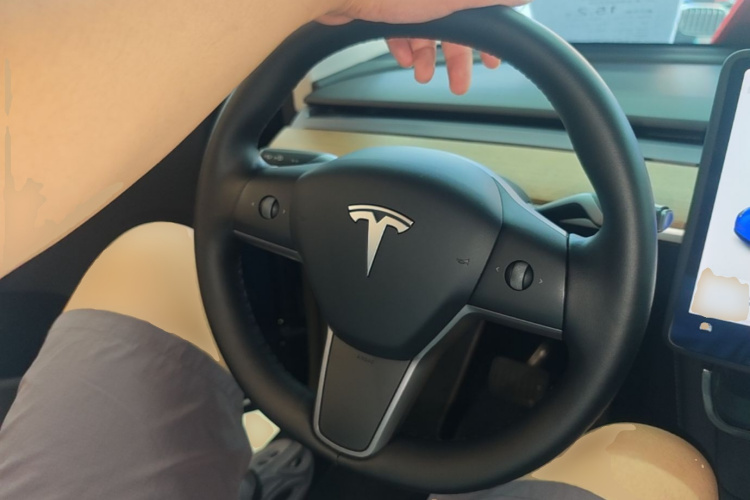 Tesla Model Y 2021 #15 Tesla Model Y 2021 car image #15