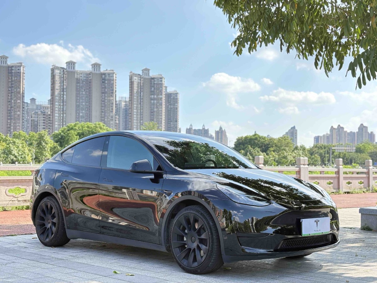Tesla Model Y 2022 car image #3