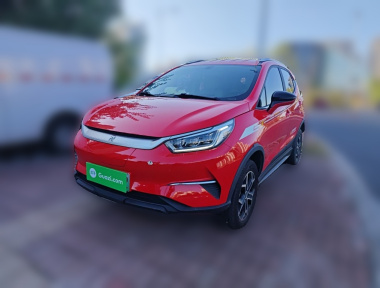 BYD Yuan Pro 2022 car image 