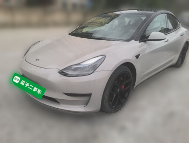 Tesla Model 3 2022 Tesla Model 3 2022 car image