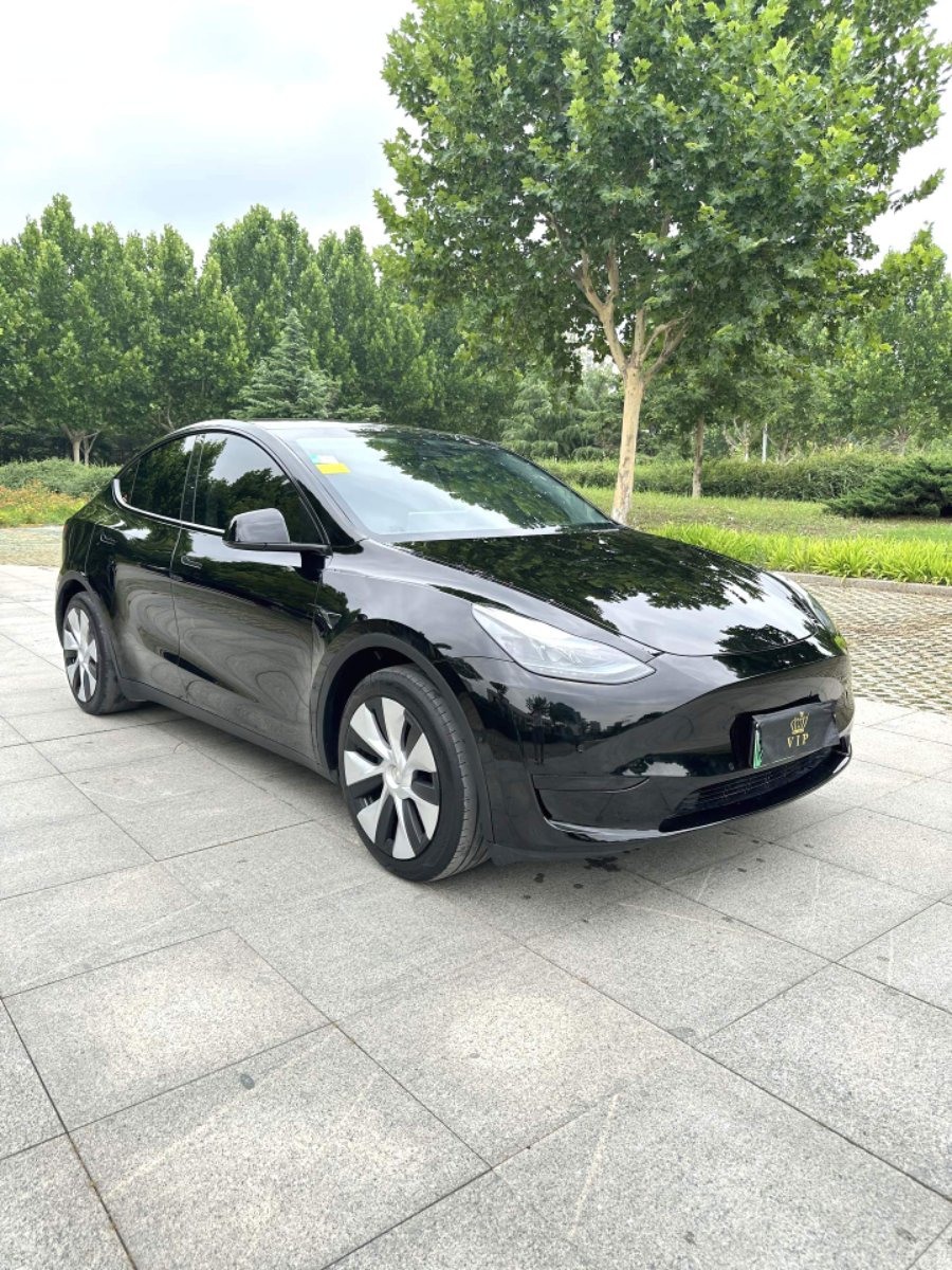 Tesla Model Y 2024 car image #3
