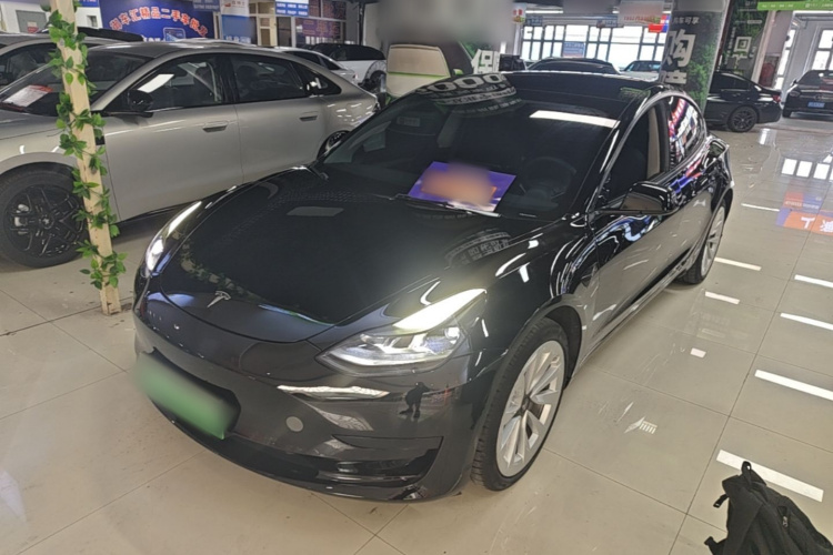 Tesla Model 3 2021 #2 Tesla Model 3 2021 car image #2
