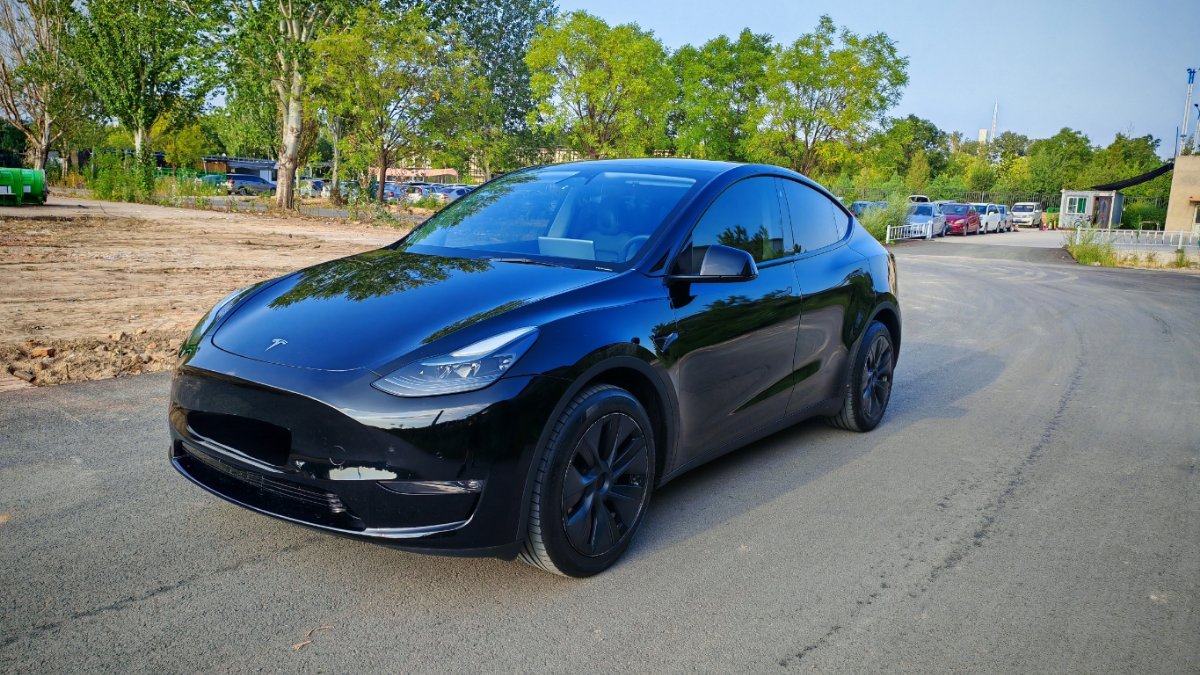 Tesla Model Y 2024 Tesla Model Y 2024 car image