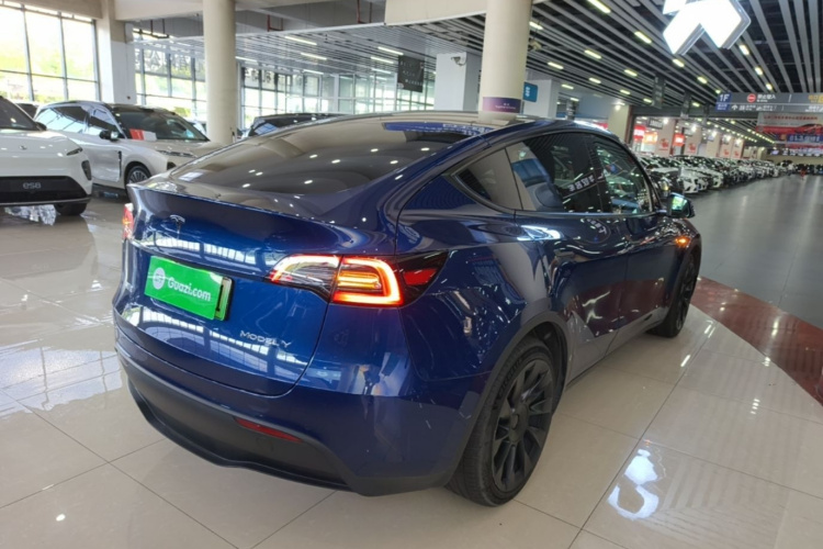 Tesla Model Y 2021 car image #7