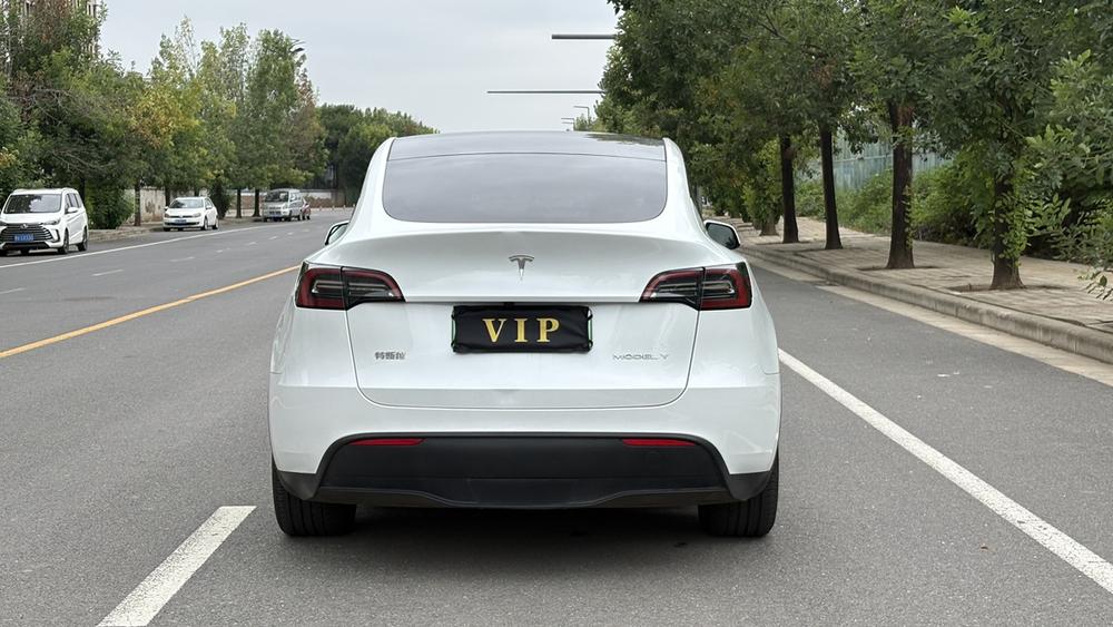 Tesla Model Y 2024 car image #6
