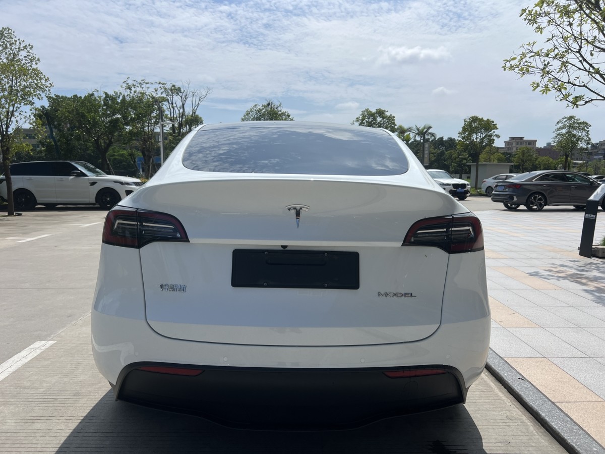 Tesla Model Y 2023 #8 Tesla Model Y 2023 car image #8